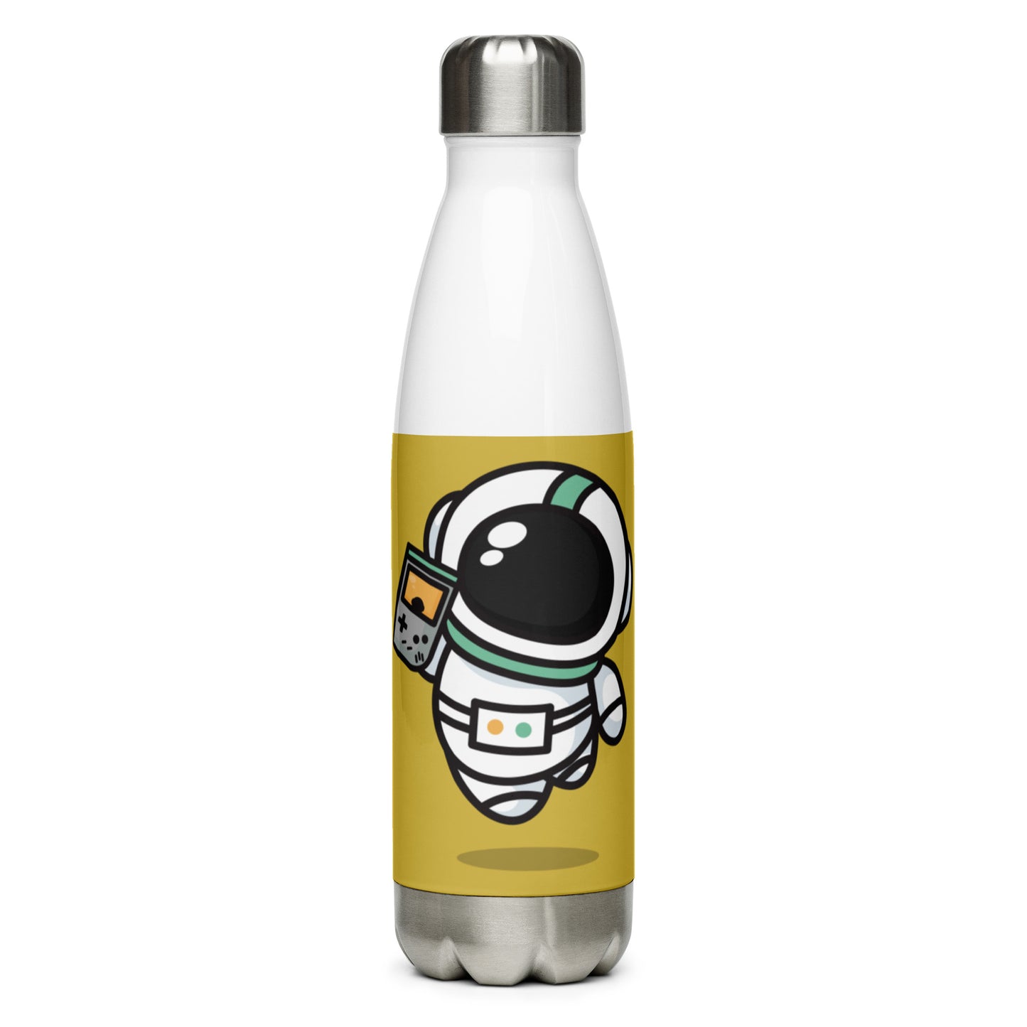 Stainless Steel Water Bottle