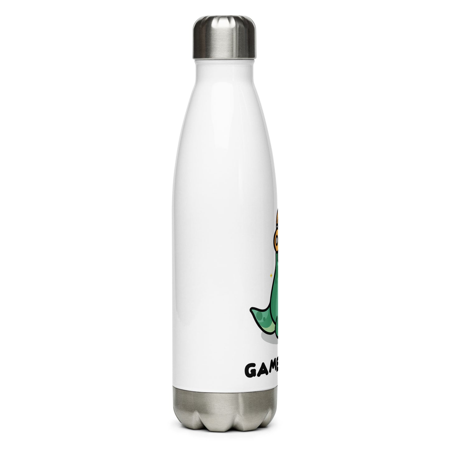 Stainless Steel Water Bottle